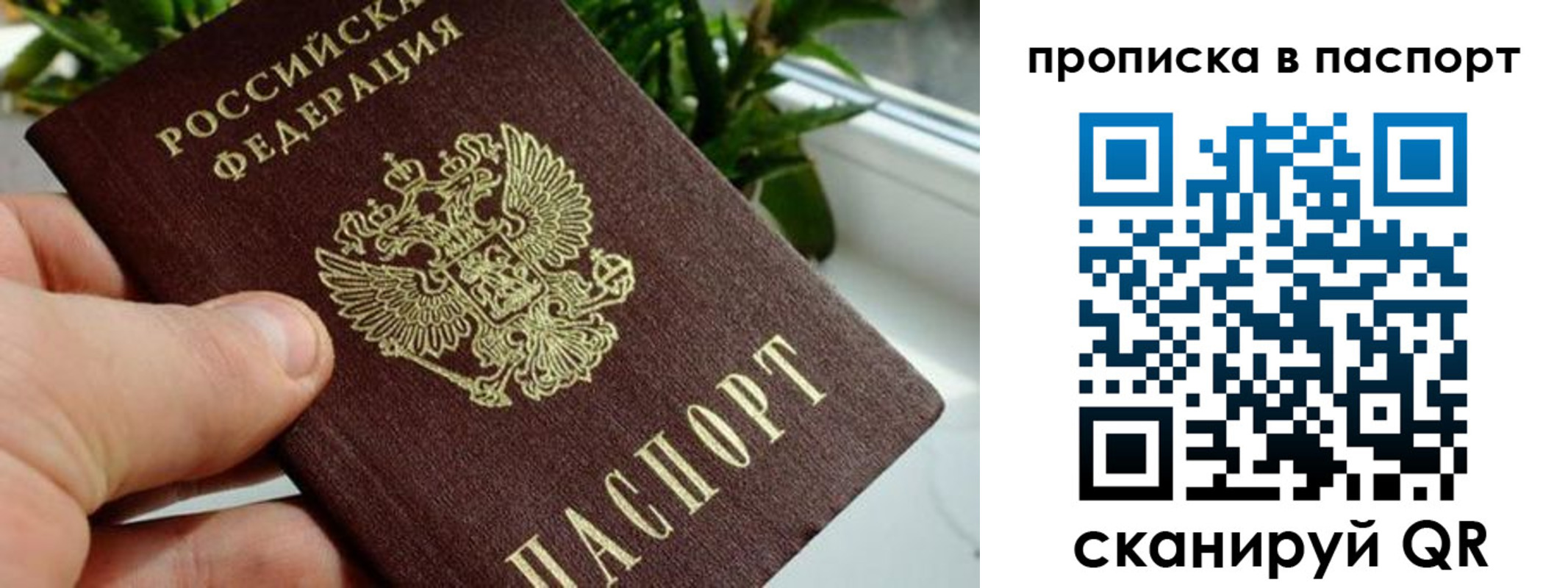 временная регистрация поиск в Полярном